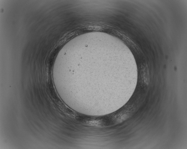 X0000086080312200704091308