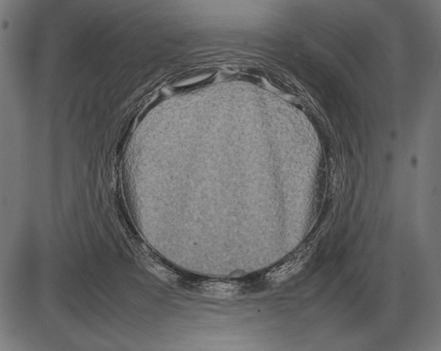 X0000086080313200704091308