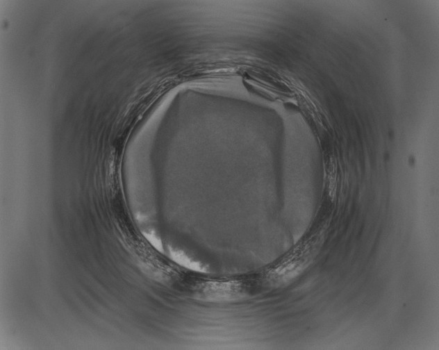 X0000086080314200704091308