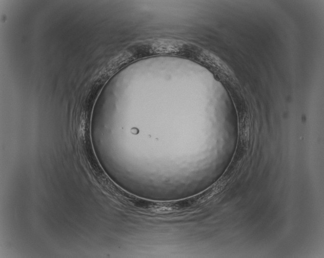 X0000086080315200704091308