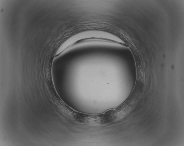 X0000086080317200704091308