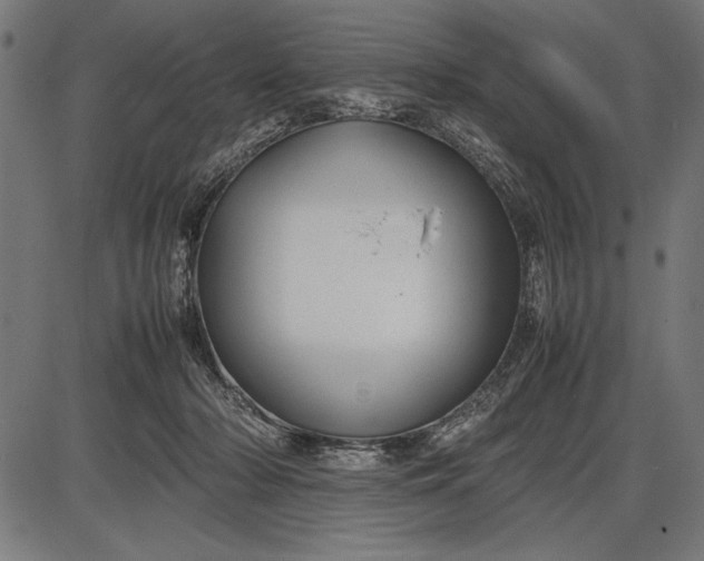 X0000086080318200704091308