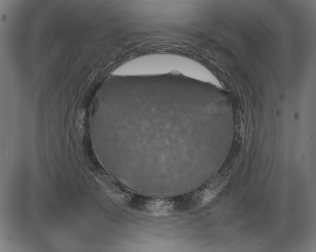 X0000086080319200704091308