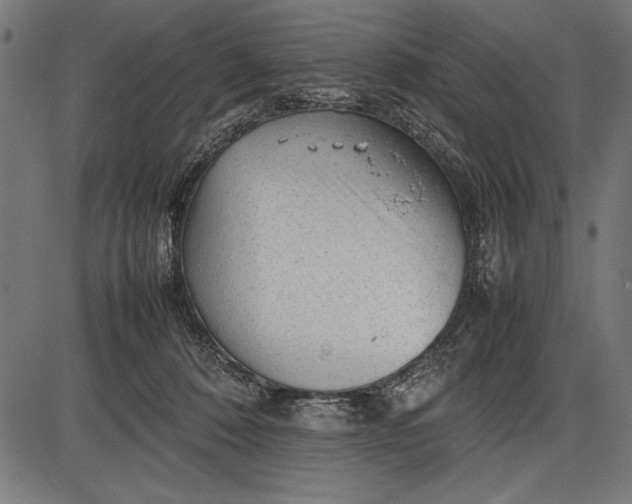 X0000086080320200704091307