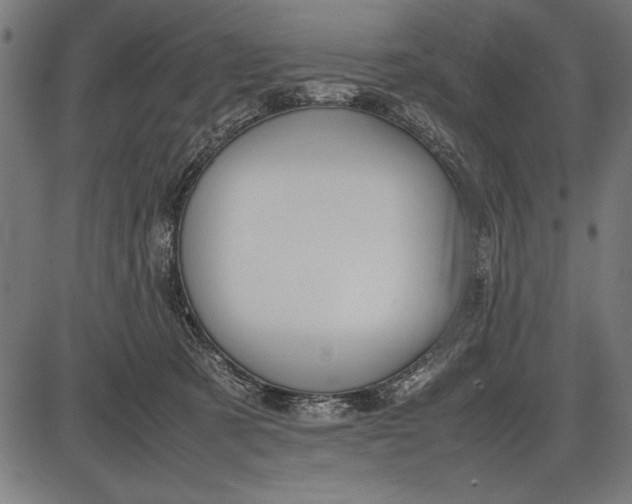 X0000086080321200704091307