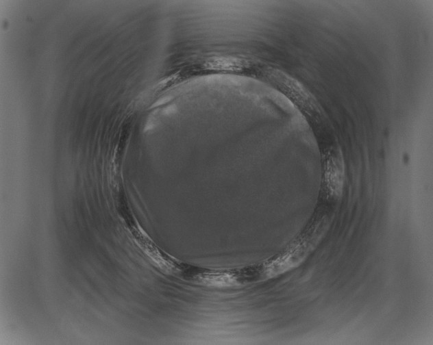 X0000086080322200704091307