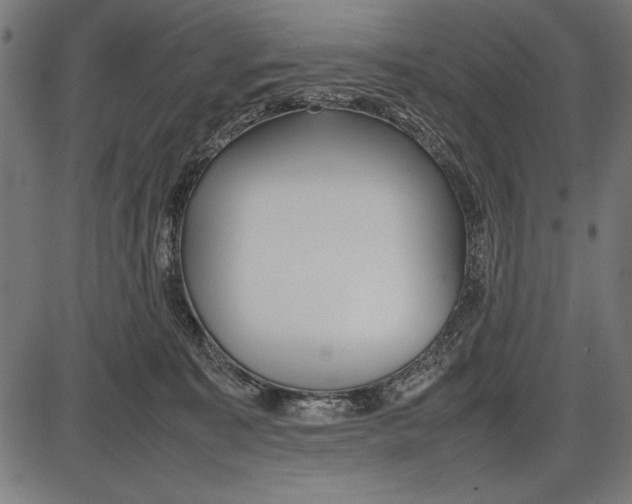 X0000086080323200704091307