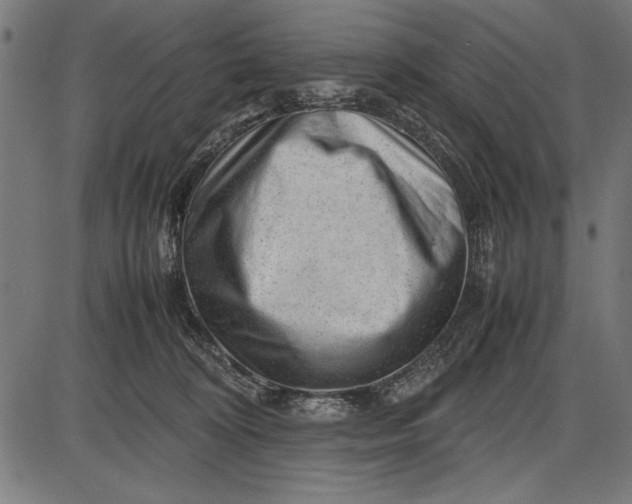 X0000086080324200704091307