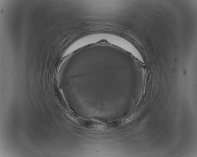 X0000086080325200704091307