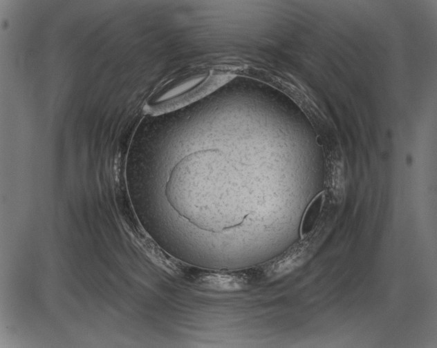 X0000086080326200704091307