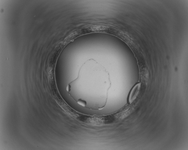 X0000086080327200704091307