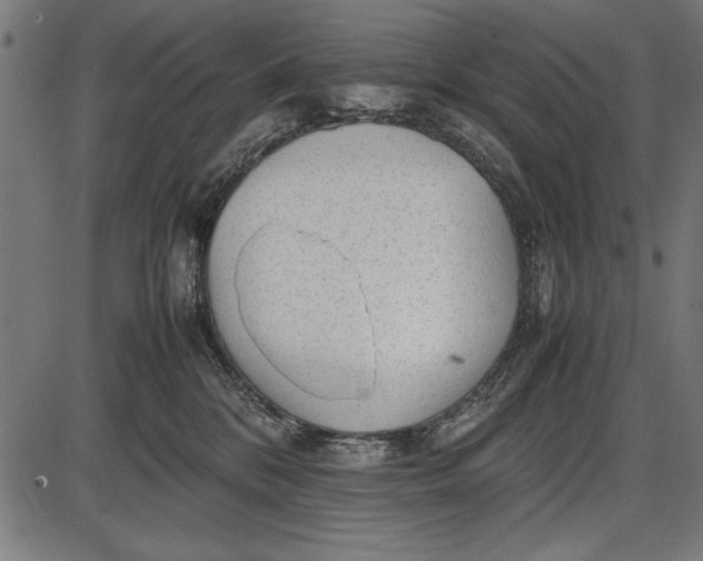 X0000086080328200704091307