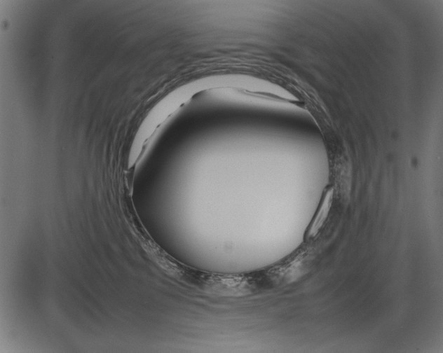 X0000086080329200704091307