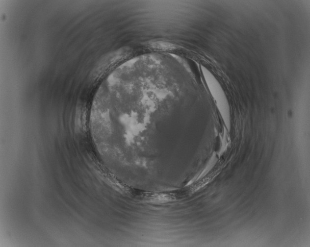 X0000086080330200704091307