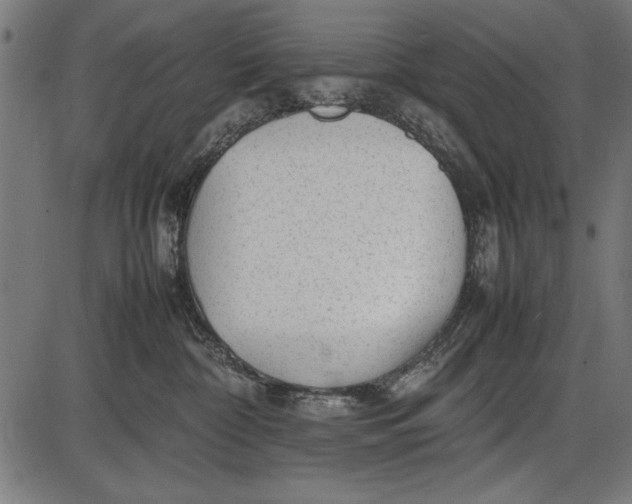 X0000086080332200704091307