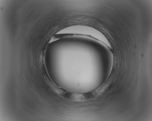 X0000086080333200704091307