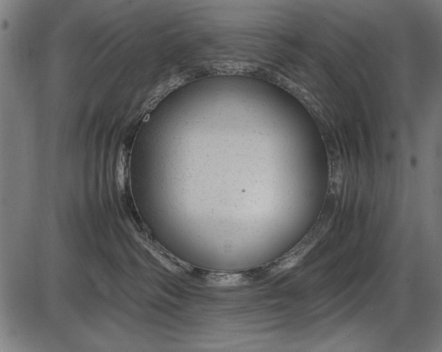 X0000086080334200704091307