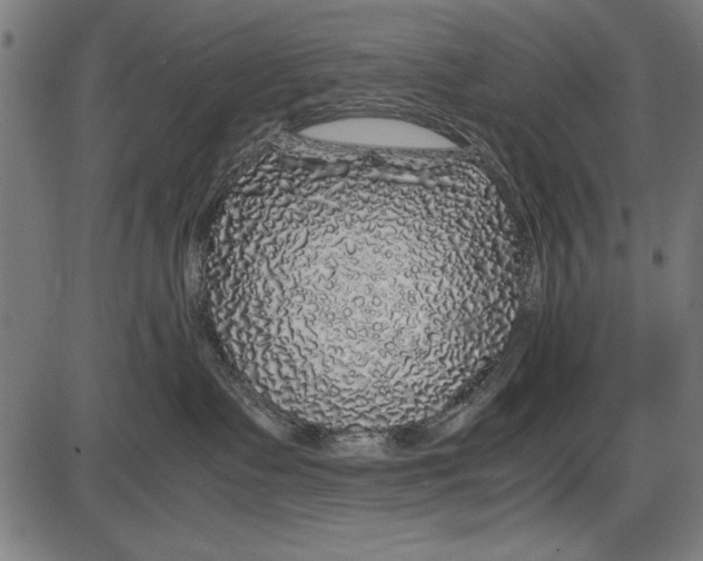 X0000086080335200704091307