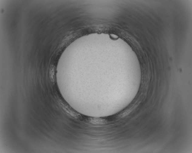 X0000086080336200704091307