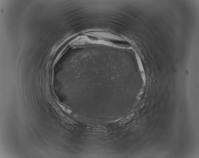 X0000086080337200704091306