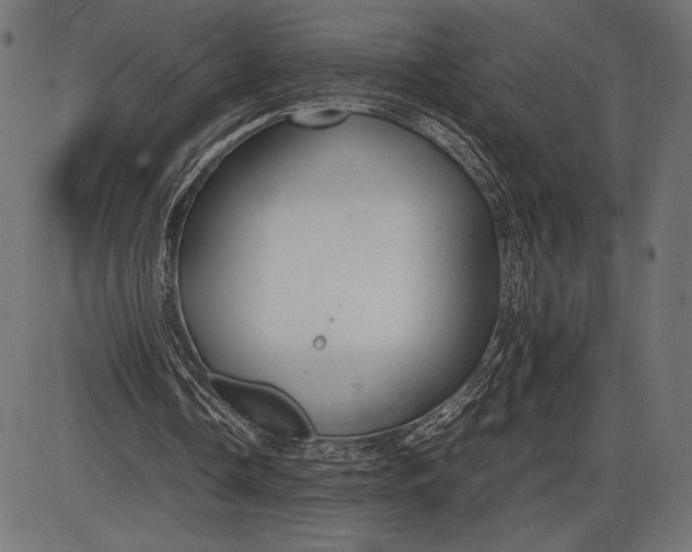 X0000086080338200704091306