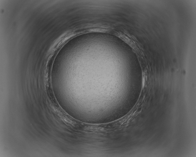 X0000086080339200704091306