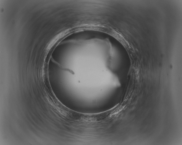 X0000086080340200704091306