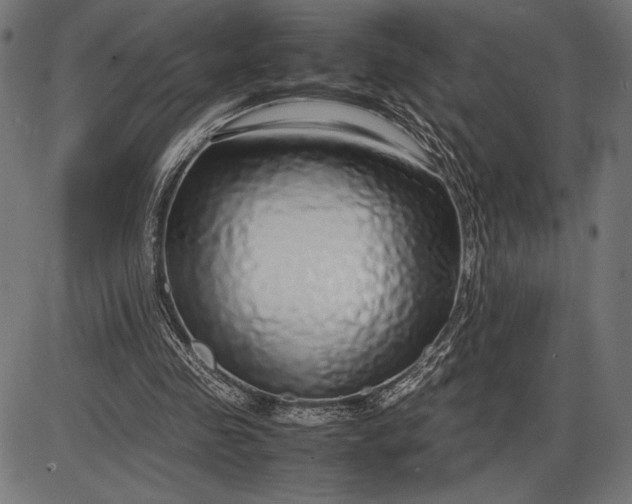 X0000086080341200704091306