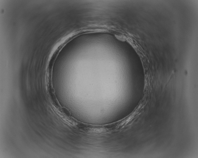 X0000086080342200704091307