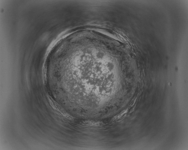 X0000086080343200704091307