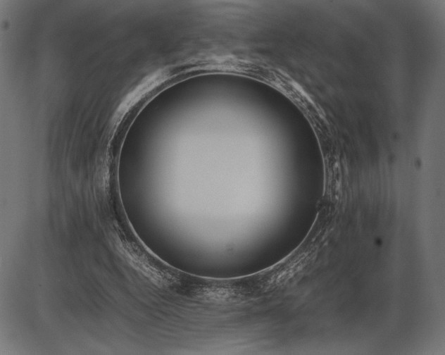 X0000086080344200704091307