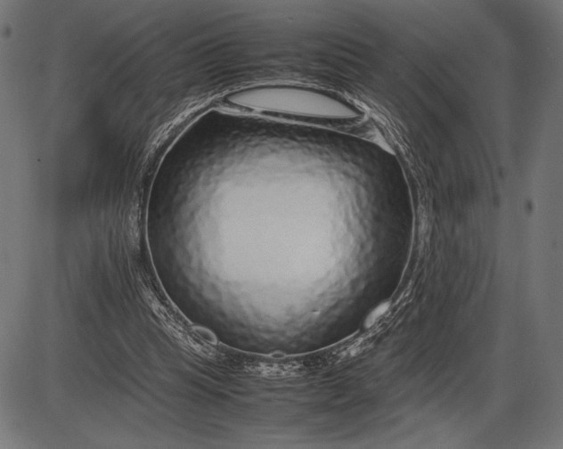 X0000086080345200704091307