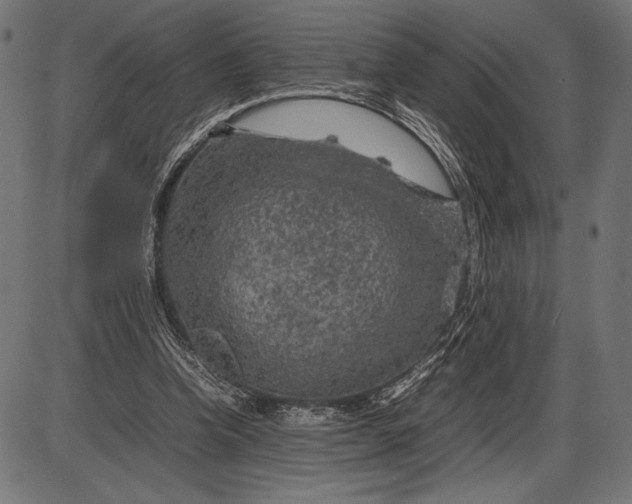 X0000086080346200704091307