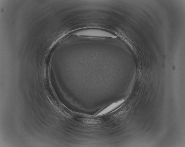 X0000086080347200704091307