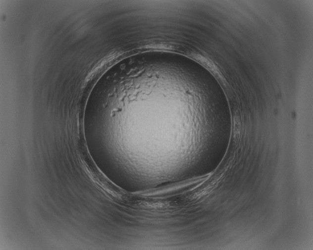 X0000086080349200704091307