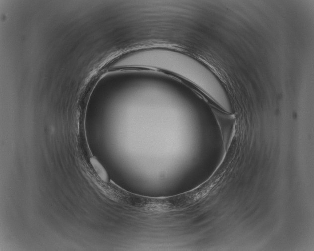 X0000086080350200704091307