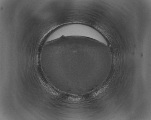 X0000086080351200704091307