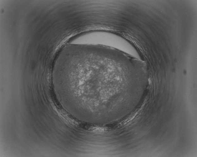 X0000086080352200704091307