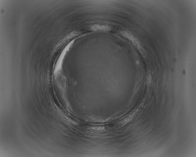 X0000086080353200704091307