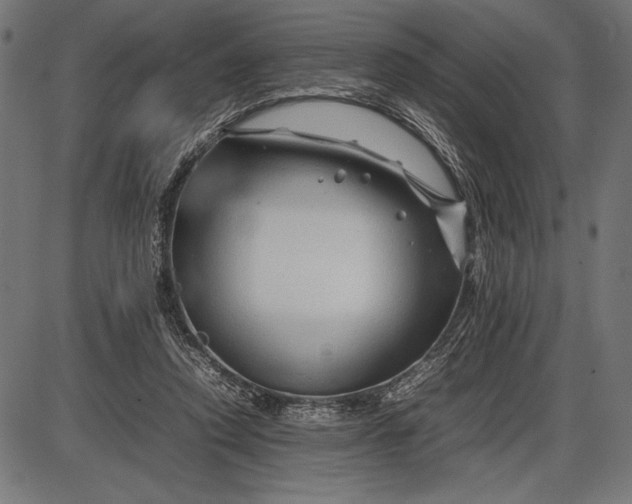 X0000086080354200704091307