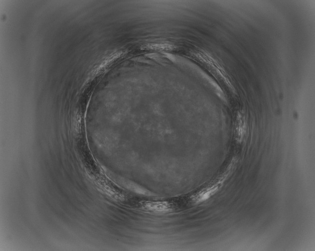 X0000086080355200704091307