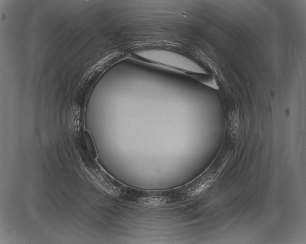 X0000086080356200704091307