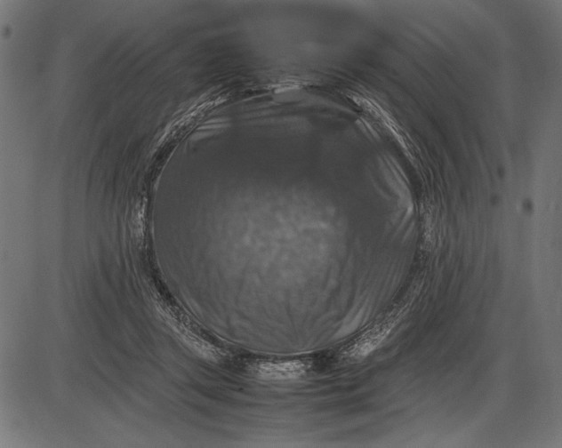 X0000086080357200704091307