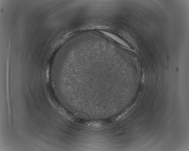 X0000086080358200704091307