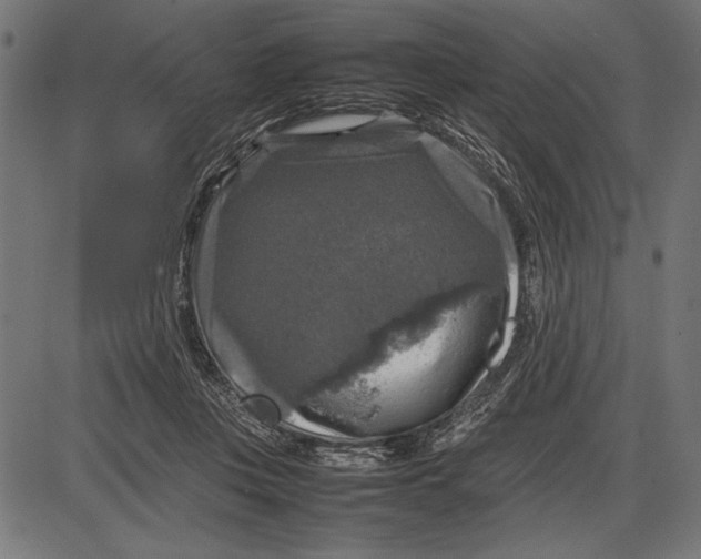 X0000086080359200704091307