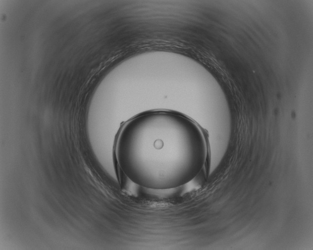 X0000086080360200704091307