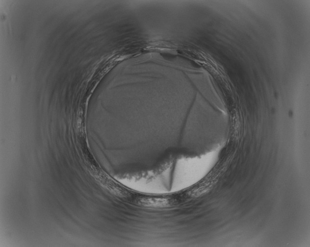 X0000086080361200704091307