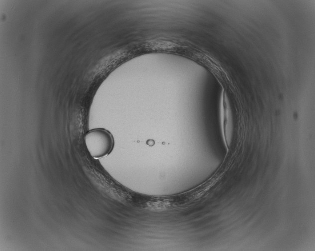 X0000086080362200704091307