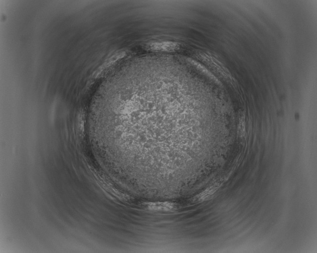 X0000086080363200704091307