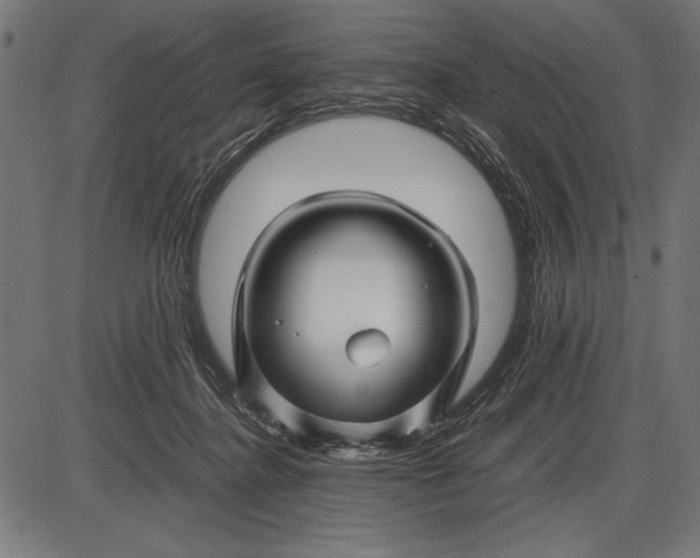 X0000086080364200704091307